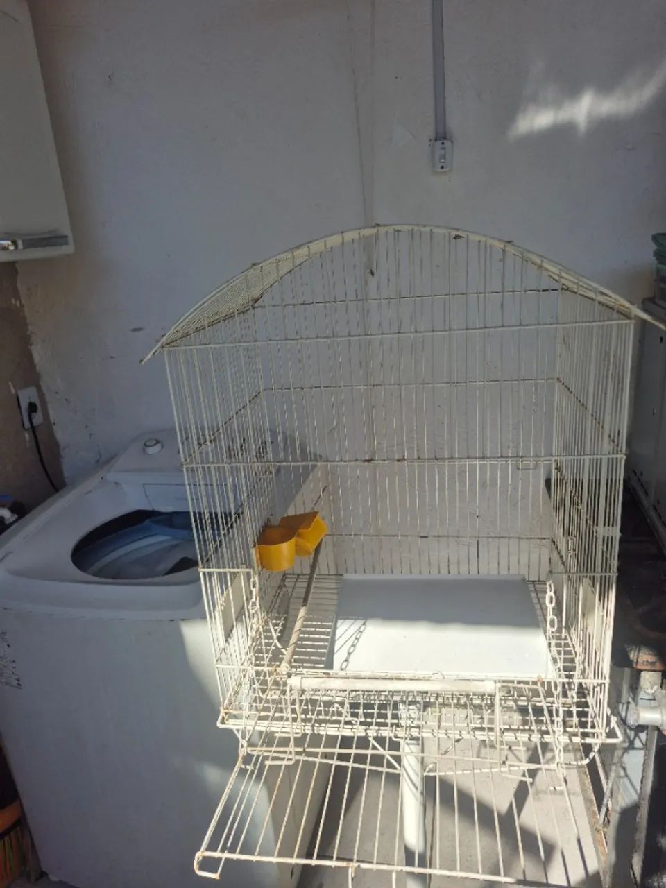 Viveiro grande. Calopsita cerca de 1,60 de altura - ABAIXOU!!! - Foto 3