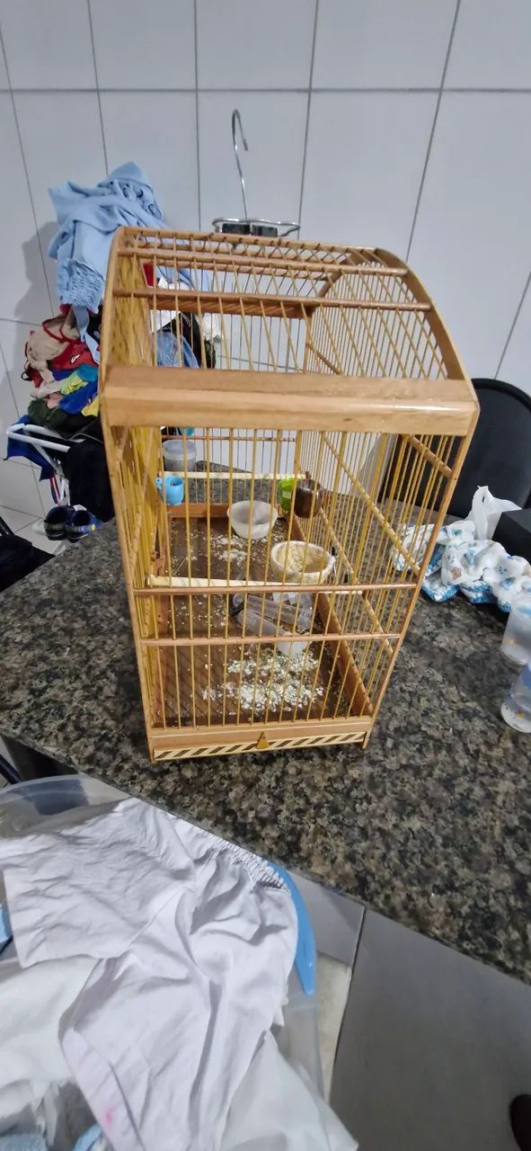 Gaiola uma semana de uso