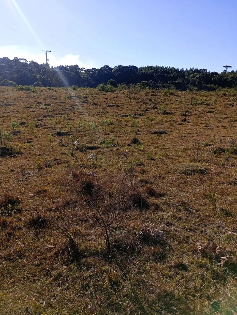 Foto - Caxias do Sul - Ana Rech