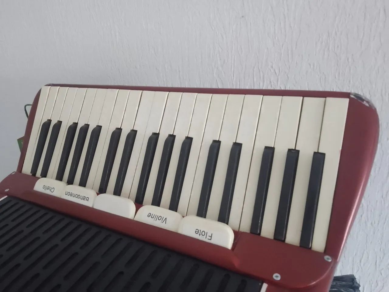 Acordeon  - Foto 3