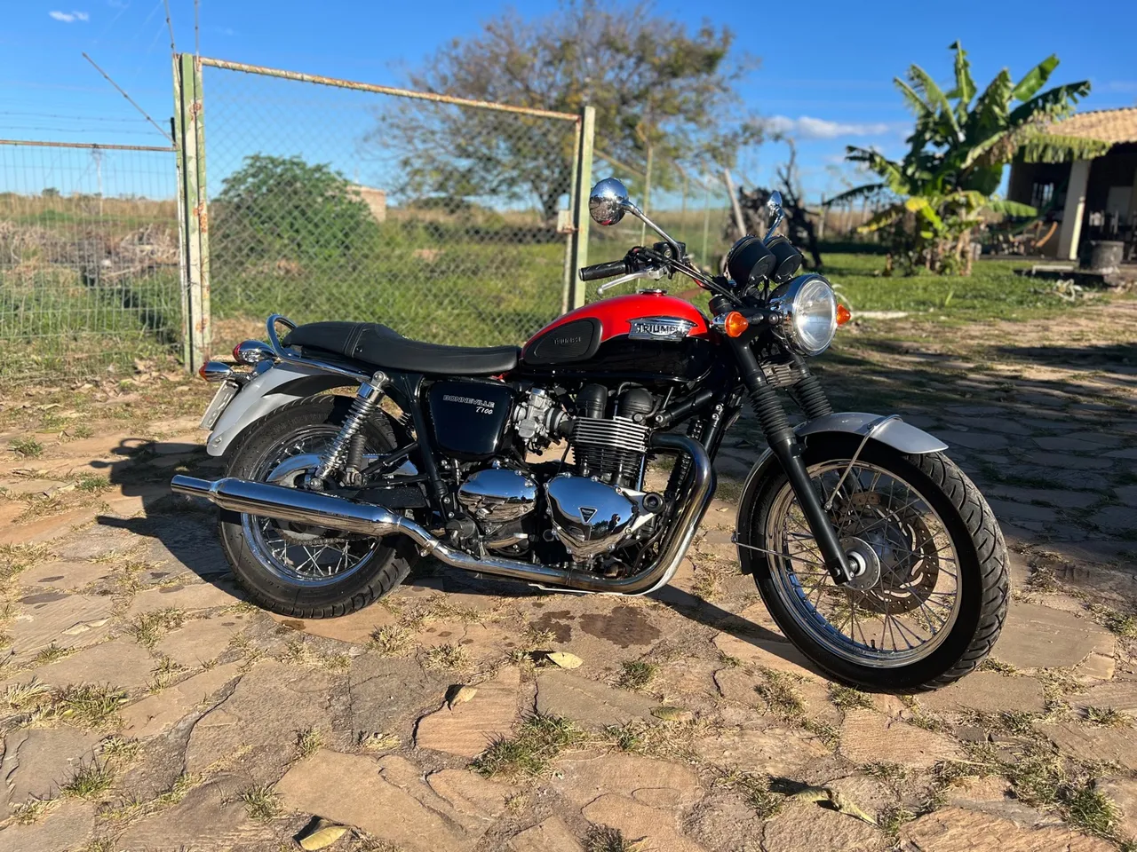 Triumph Bonneville T100