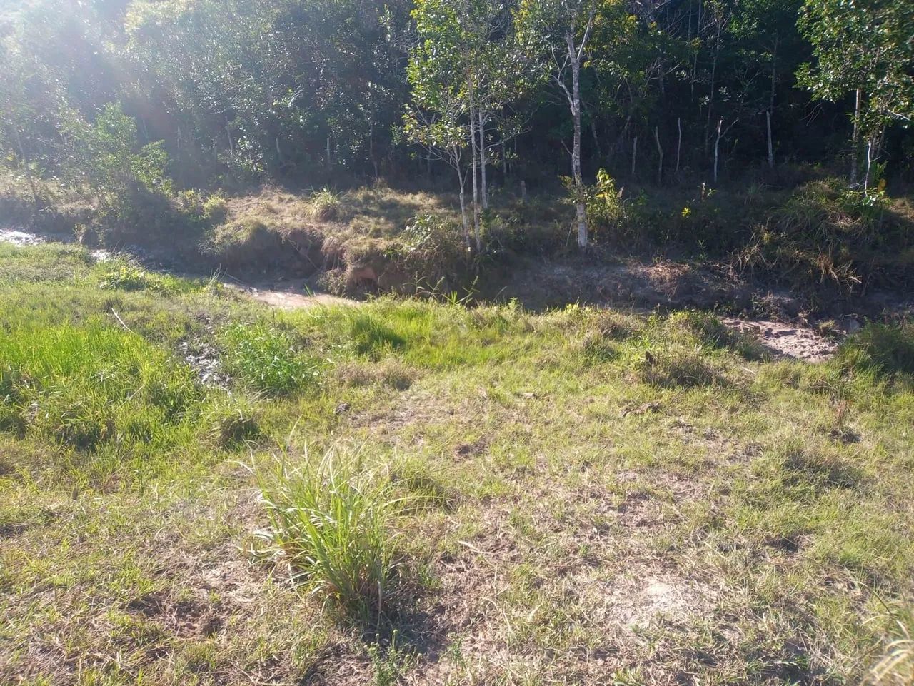 TERRENO PARA CRIA GADO , CAVALO E PLANTAÇÕES  - Foto 5