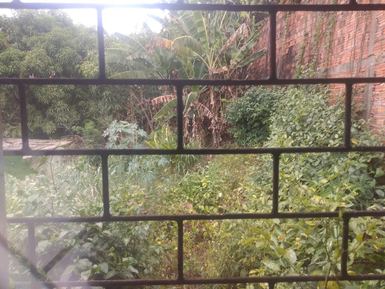Casa no coroadinho