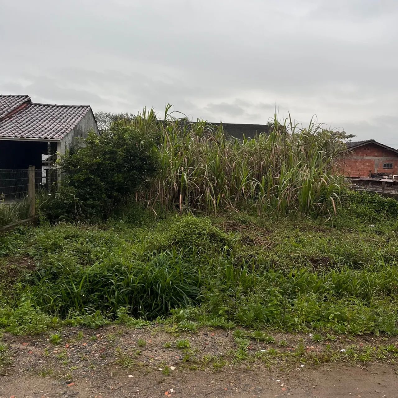 Terreno 350 mts da Lagoa - Foto 2
