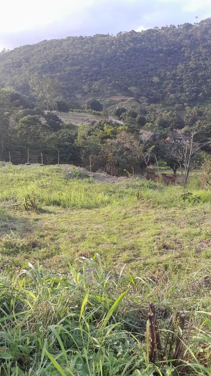 Foto - Recife - Boa Viagem