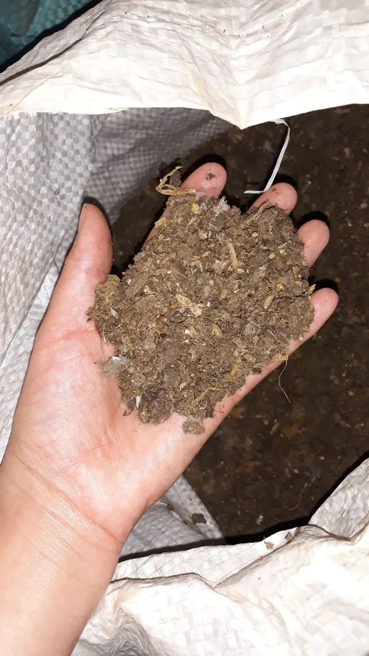 Esterco de Gado Puro Pacote de 10 kg