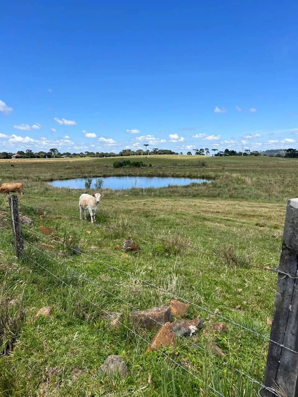 Terreno com ótimo acesso, energia elétrica instalada e desconto de 15% à vista
