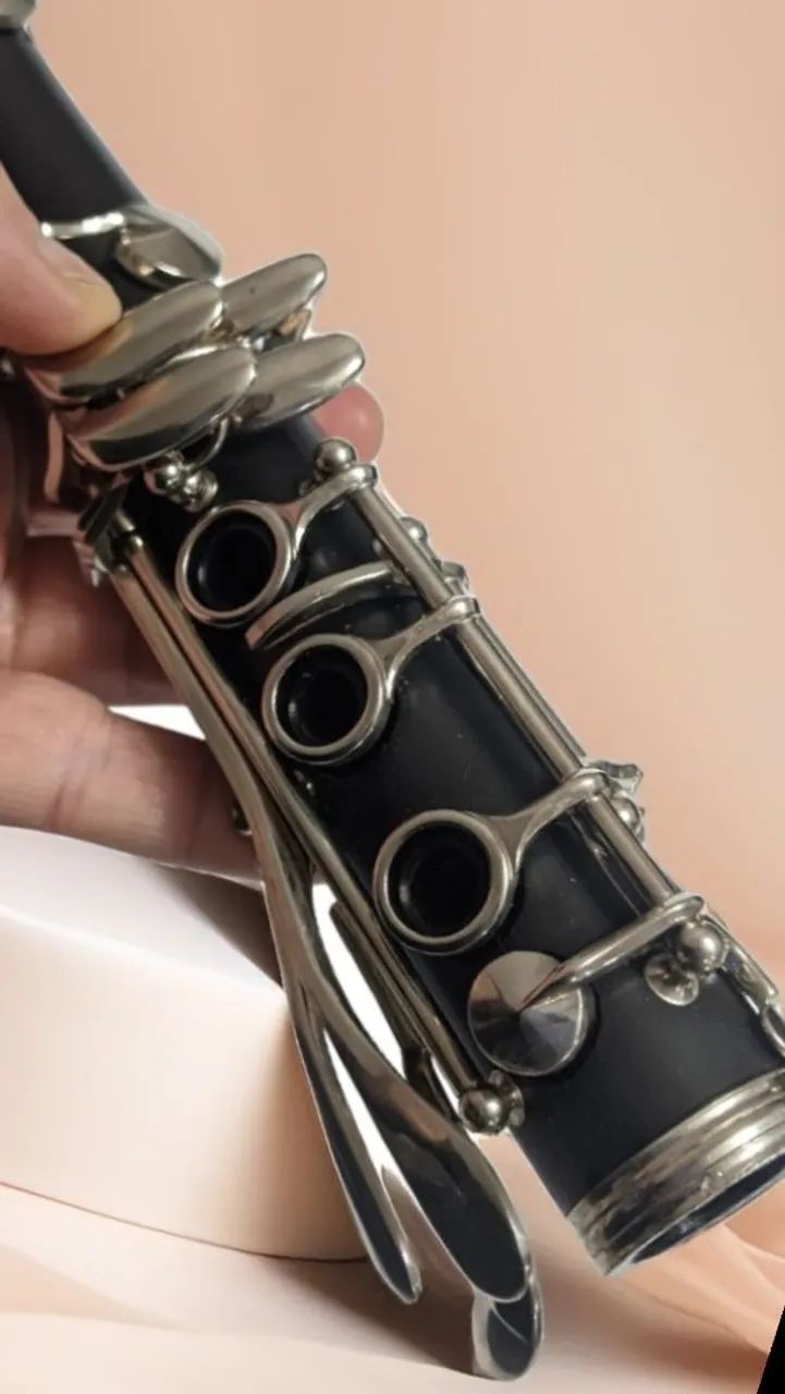 しほ　カナヘイ ESCAPAMENTO ESPORTIVO JESKAP KAWASAKI ZX-10R K67 BLACK LINK