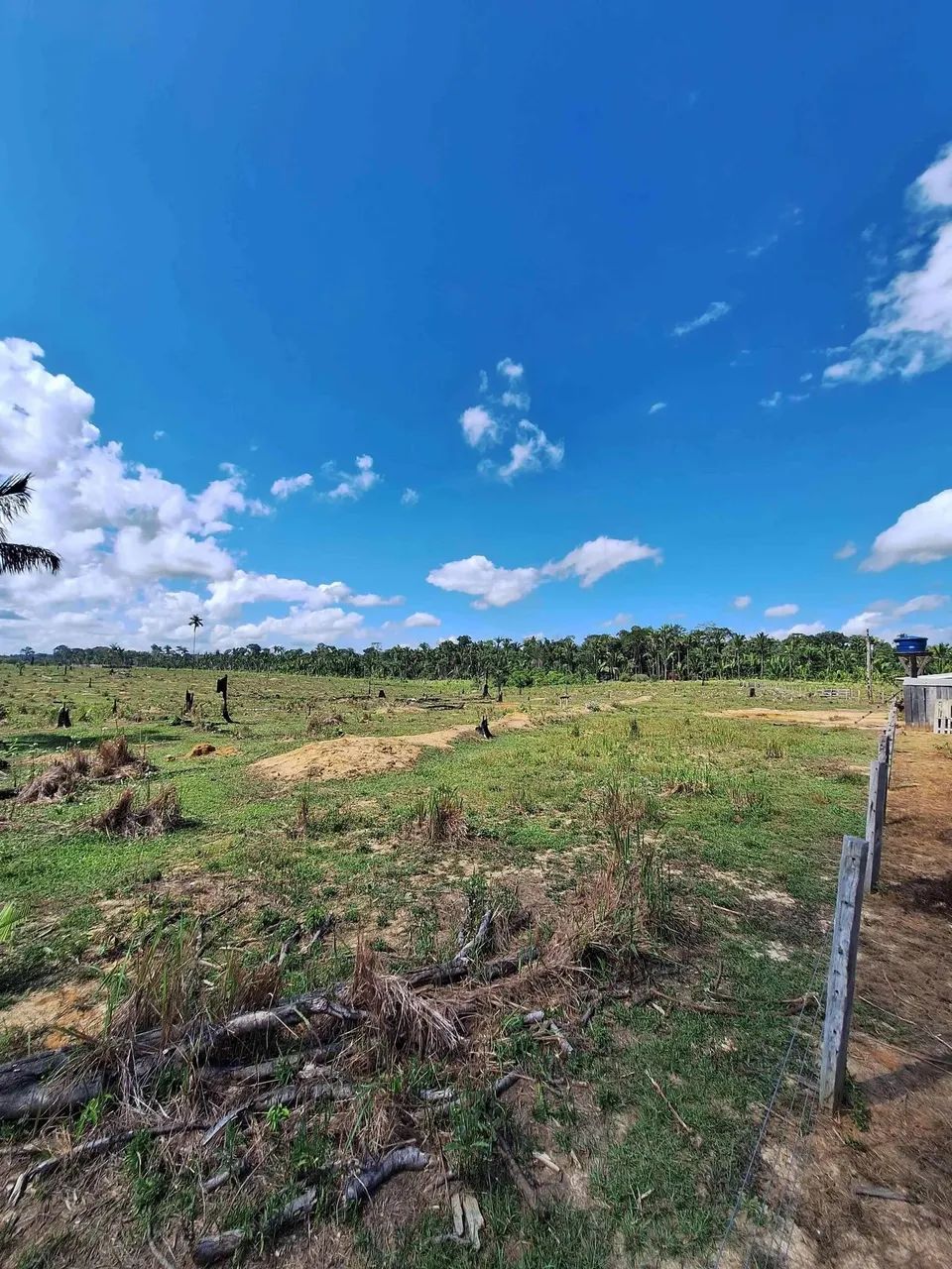 Fazenda pra venda possui 81 hectares em Área Rural de Canutama - Amazonas - AM - Foto 3