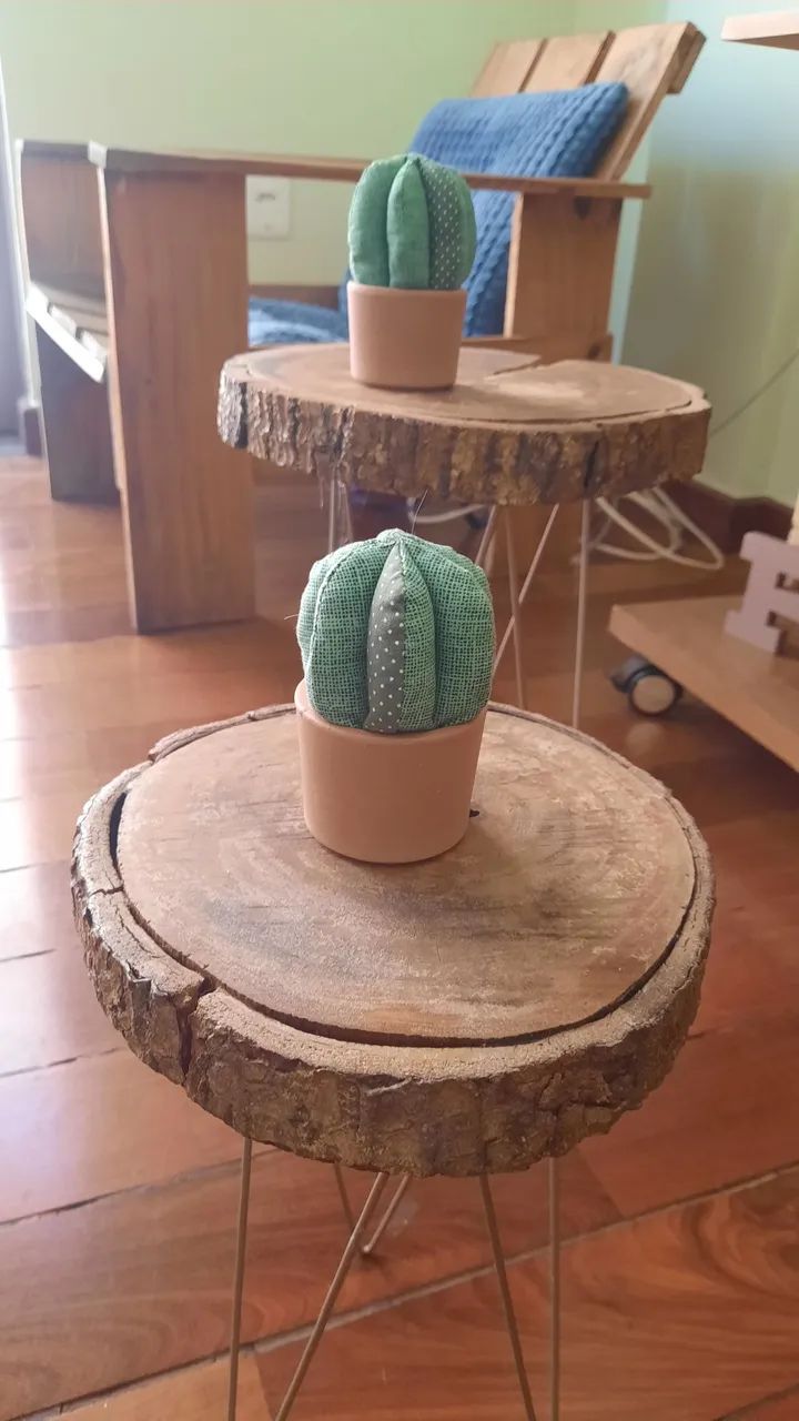 Agulheiro cacto  - Foto 2