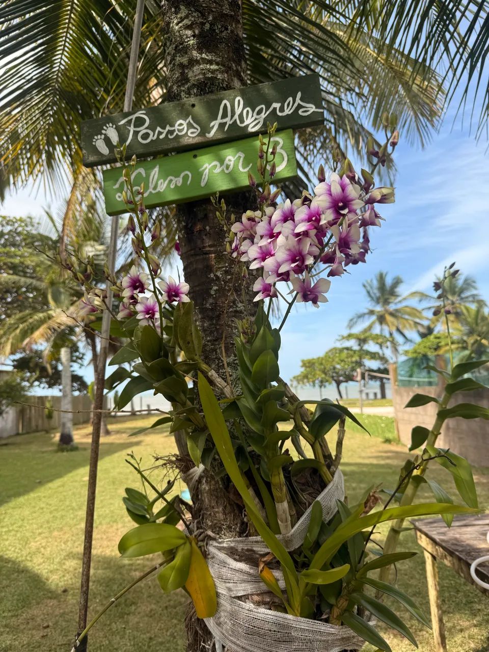 Casa de Praia Pé na Areia - Foto 10