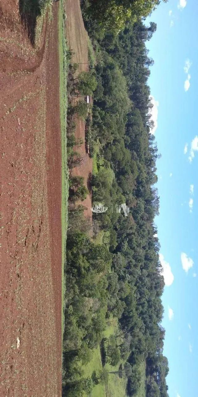 Sítio à venda, 145200 m² por R$ 1.200.000,00 - Jardim Ouro verde - Guairaçá/PR - Foto 6