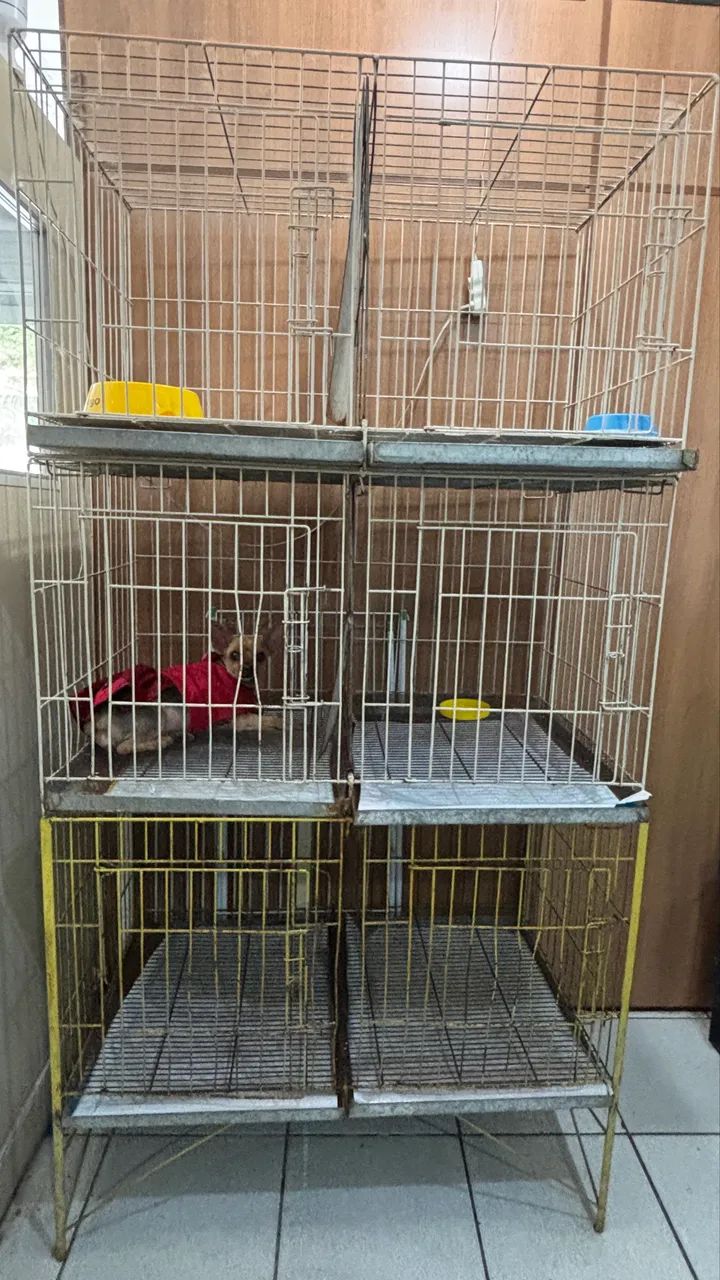 Gaiola Pet Shop 6 lugares - Foto 2