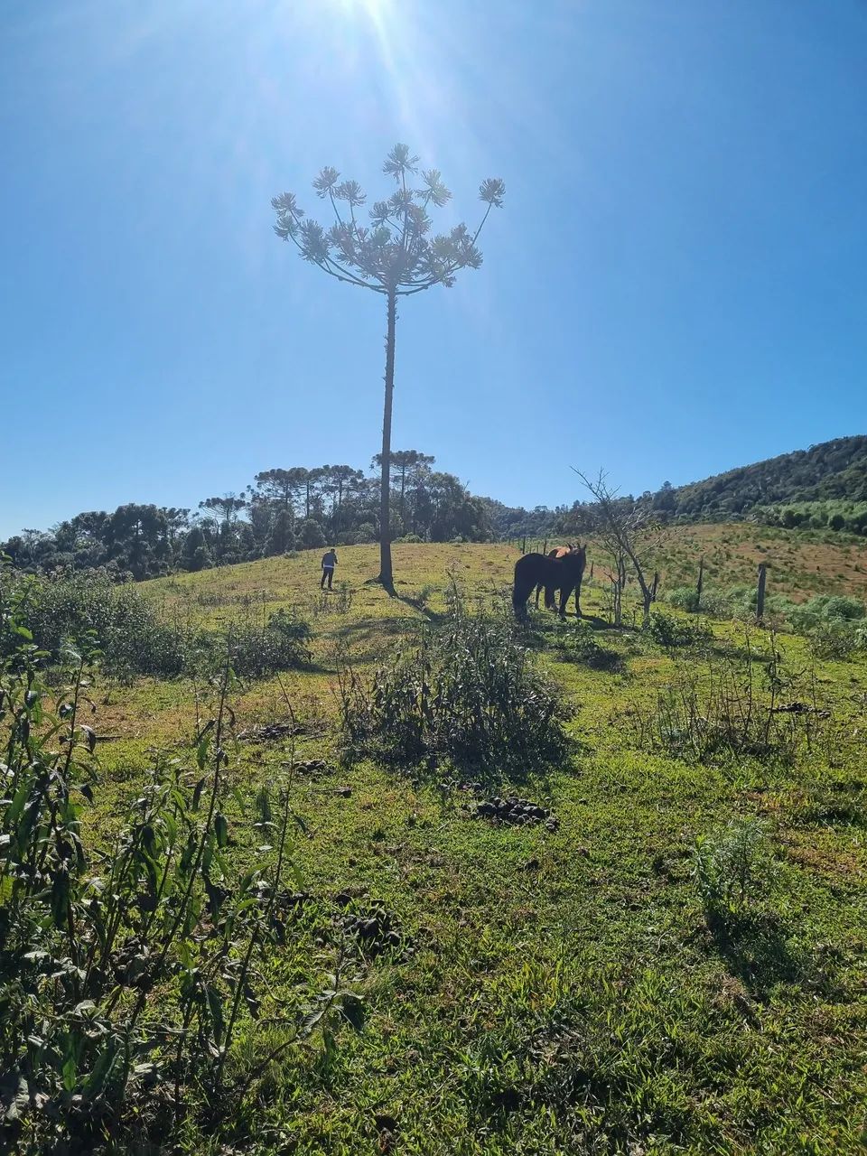 Vendo ou troco $120.000 - Foto 3