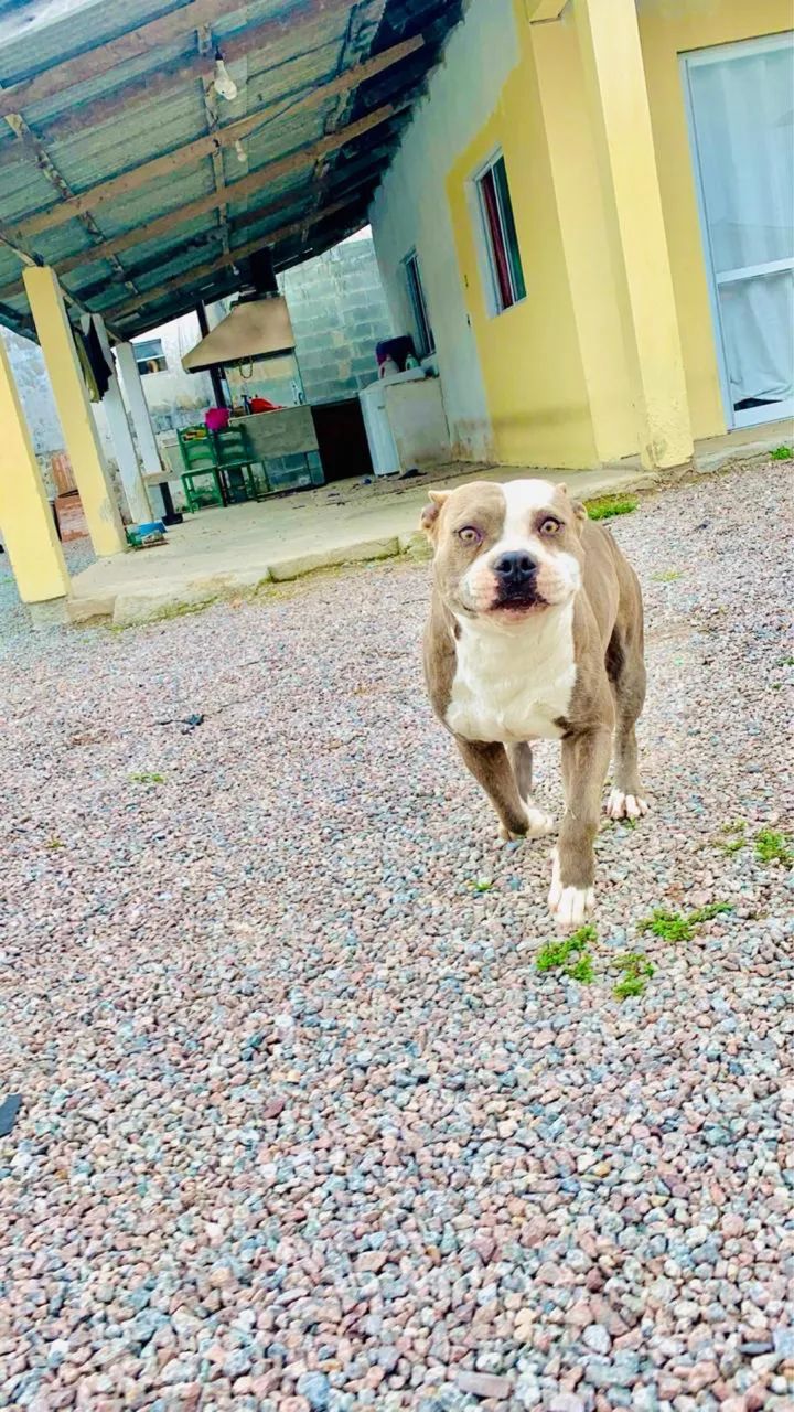 Doação  - Foto 2