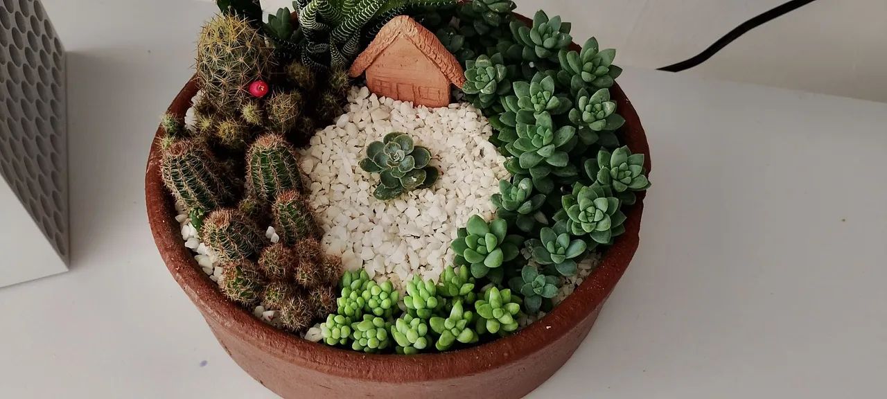 Terrário  - Foto 2