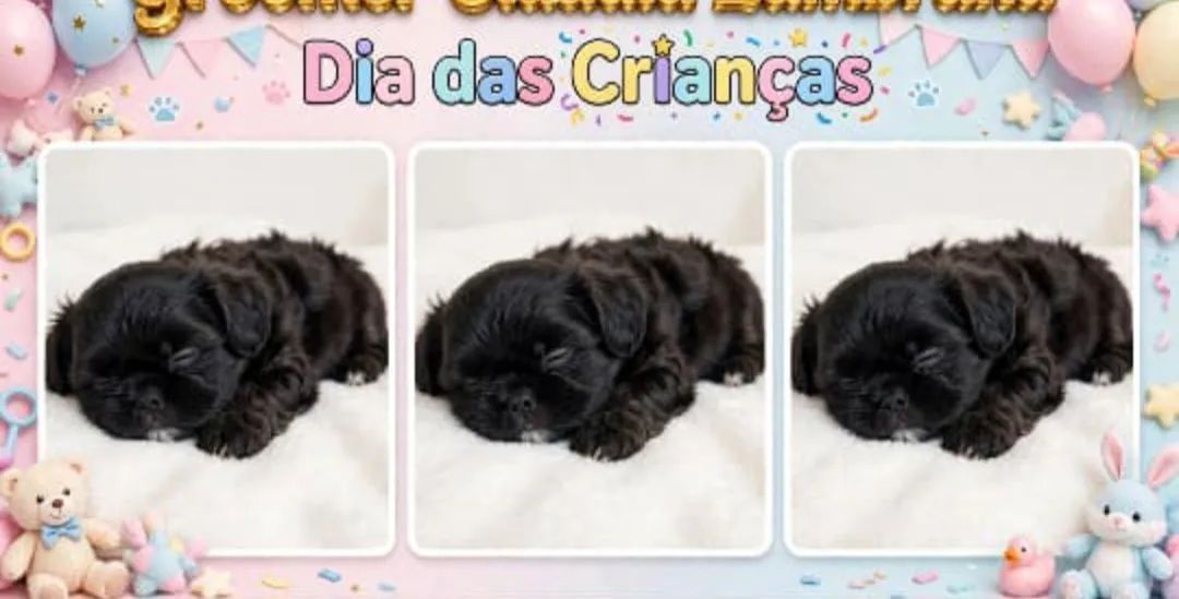 Filhotes para a alegra das crianças  - Foto 3