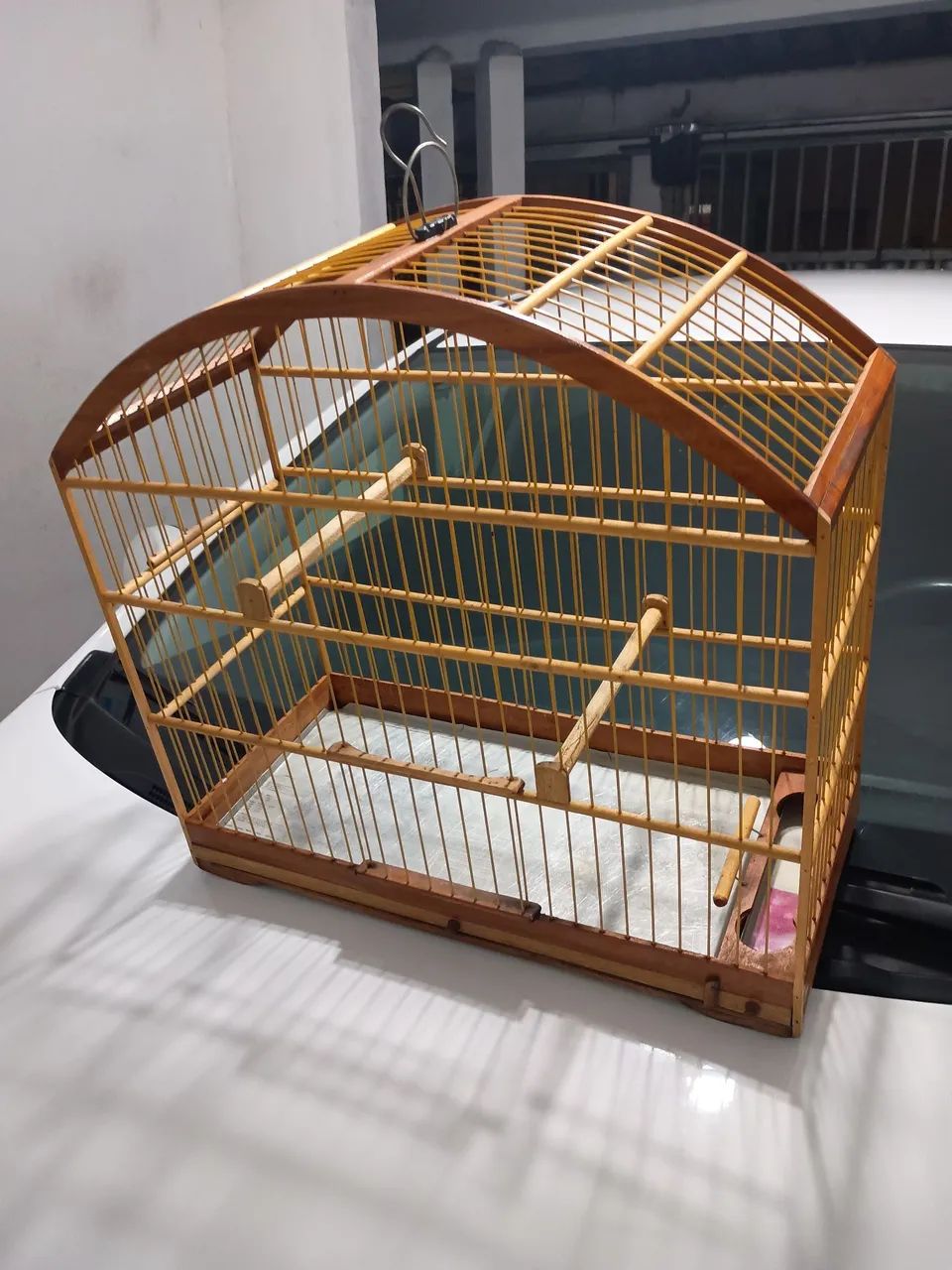 Animais de estimação e acessórios  - Foto 4