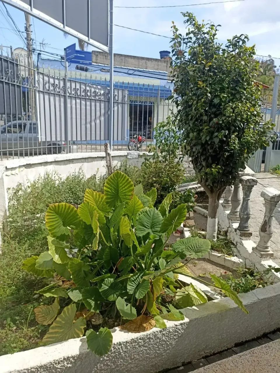 Casa Térrea Comercial em São Roque! - Foto 3
