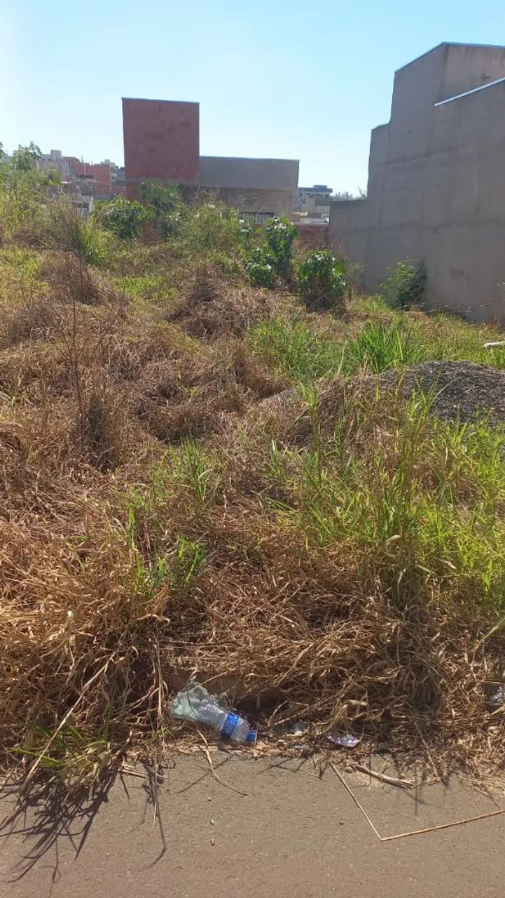 Terreno