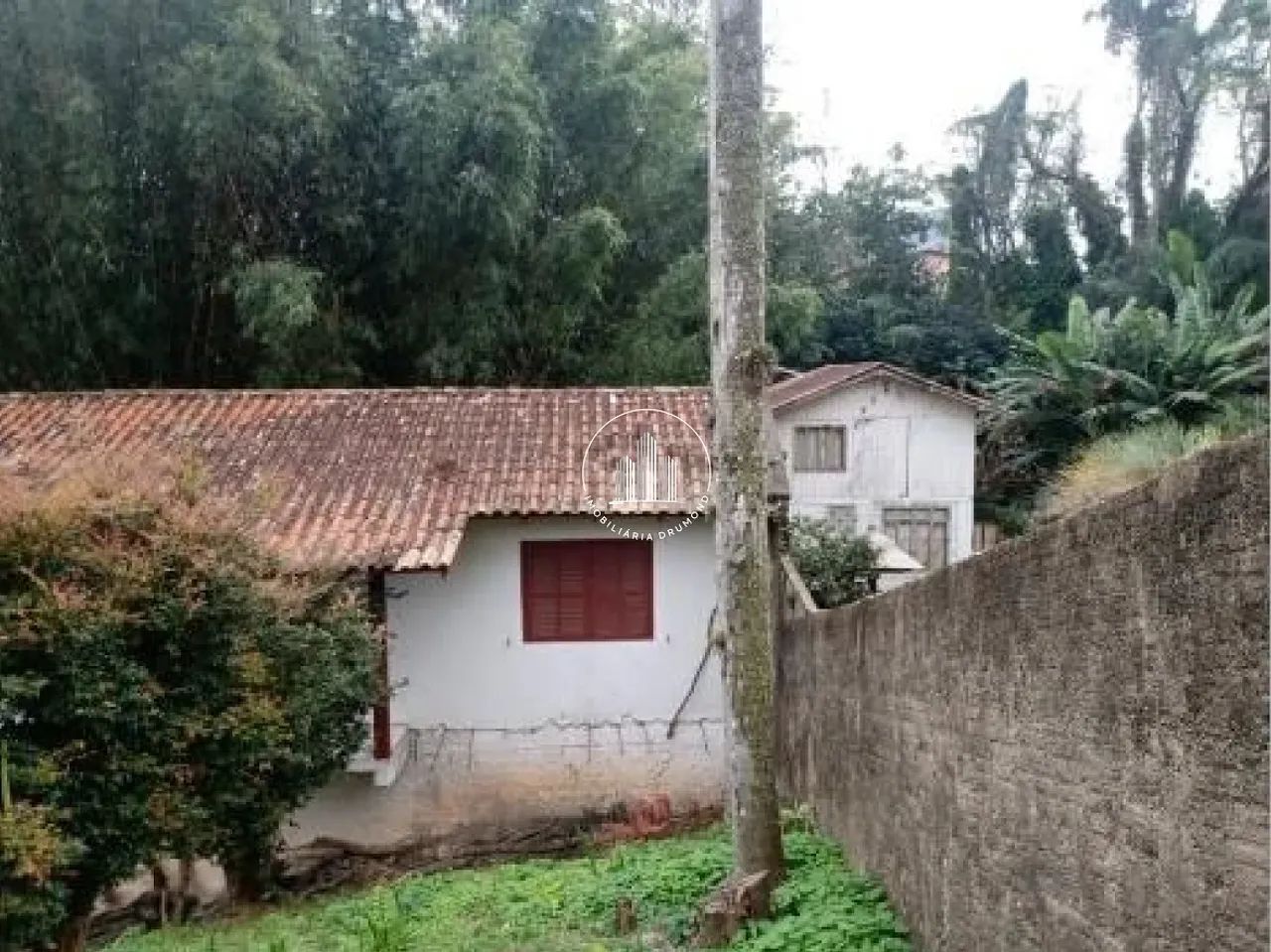 Terreno 1329m² - Jardim Atlântico - BRN - Foto 5