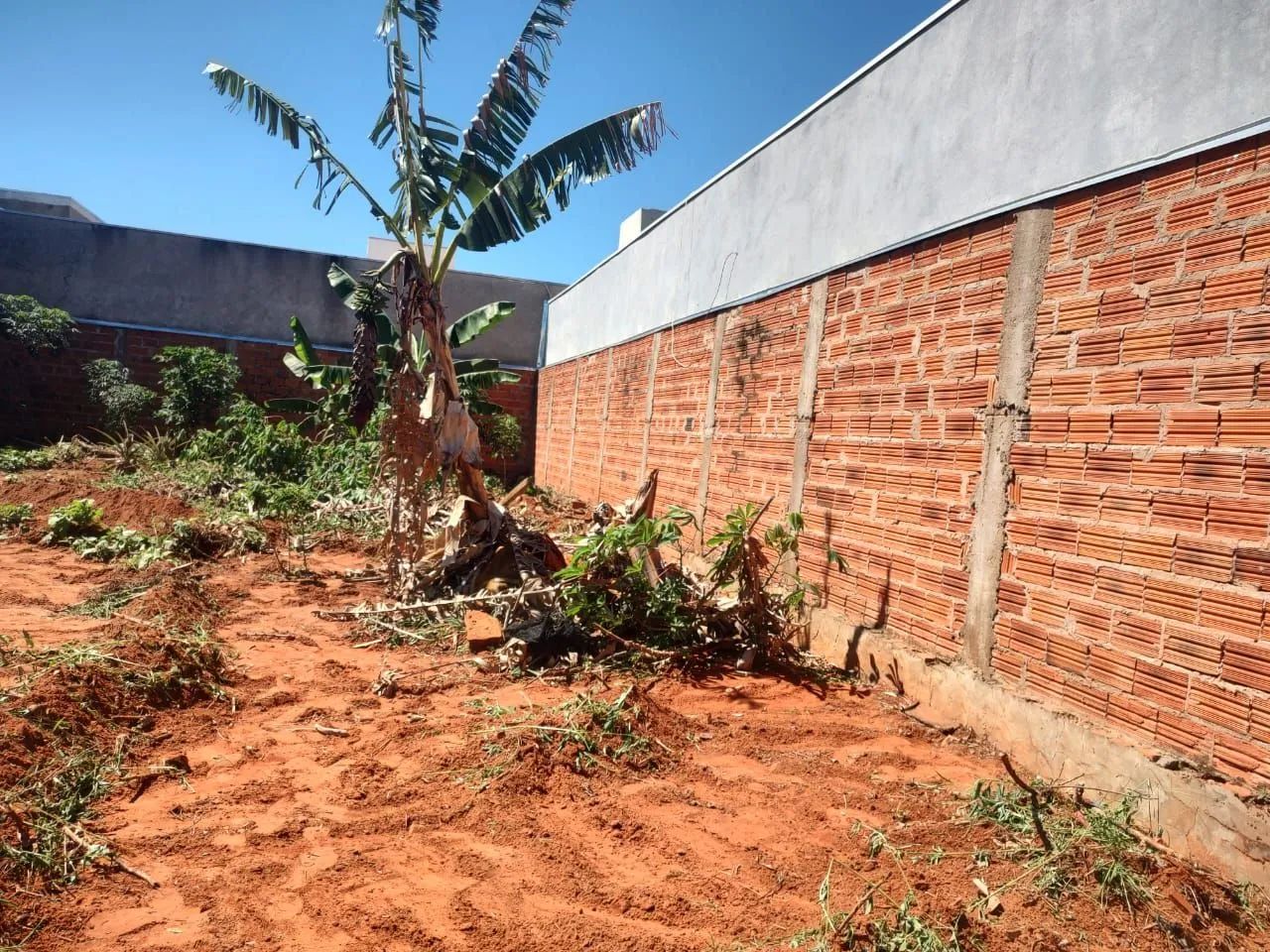 Terreno murado e com portão - Figueiras - Foto 2