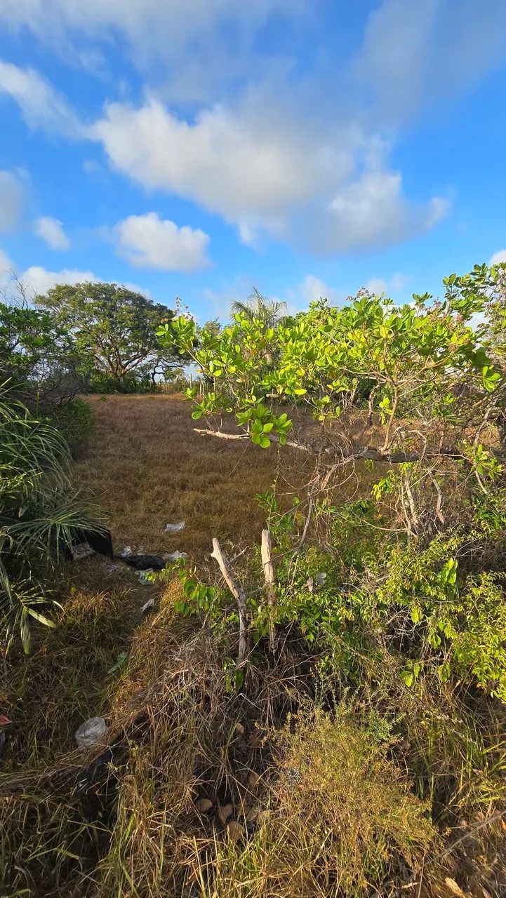 TERRENO EM BARREIRINHAS - Foto 4
