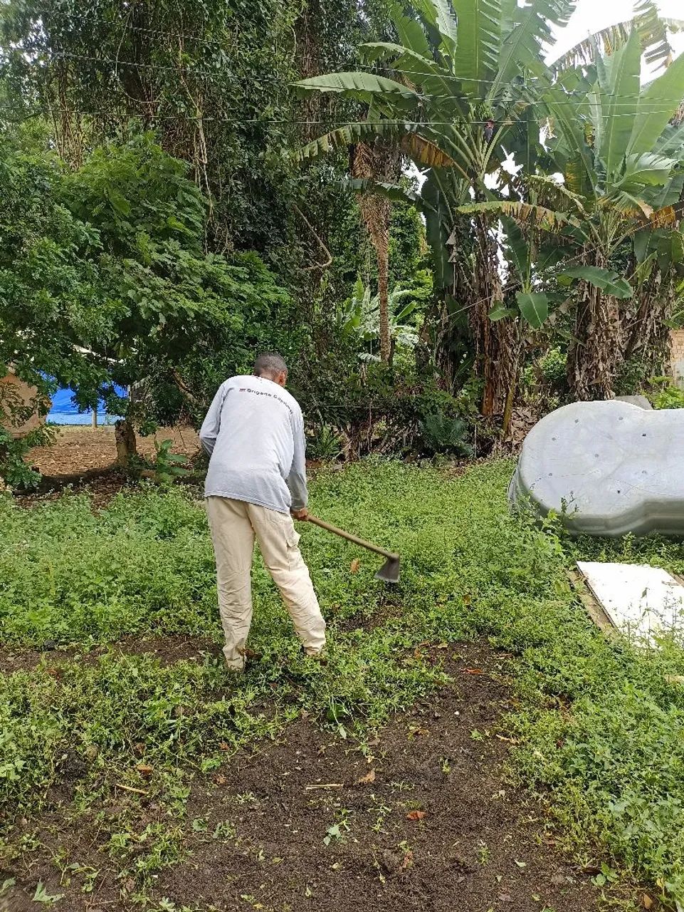 Rosagem com máquina costal  