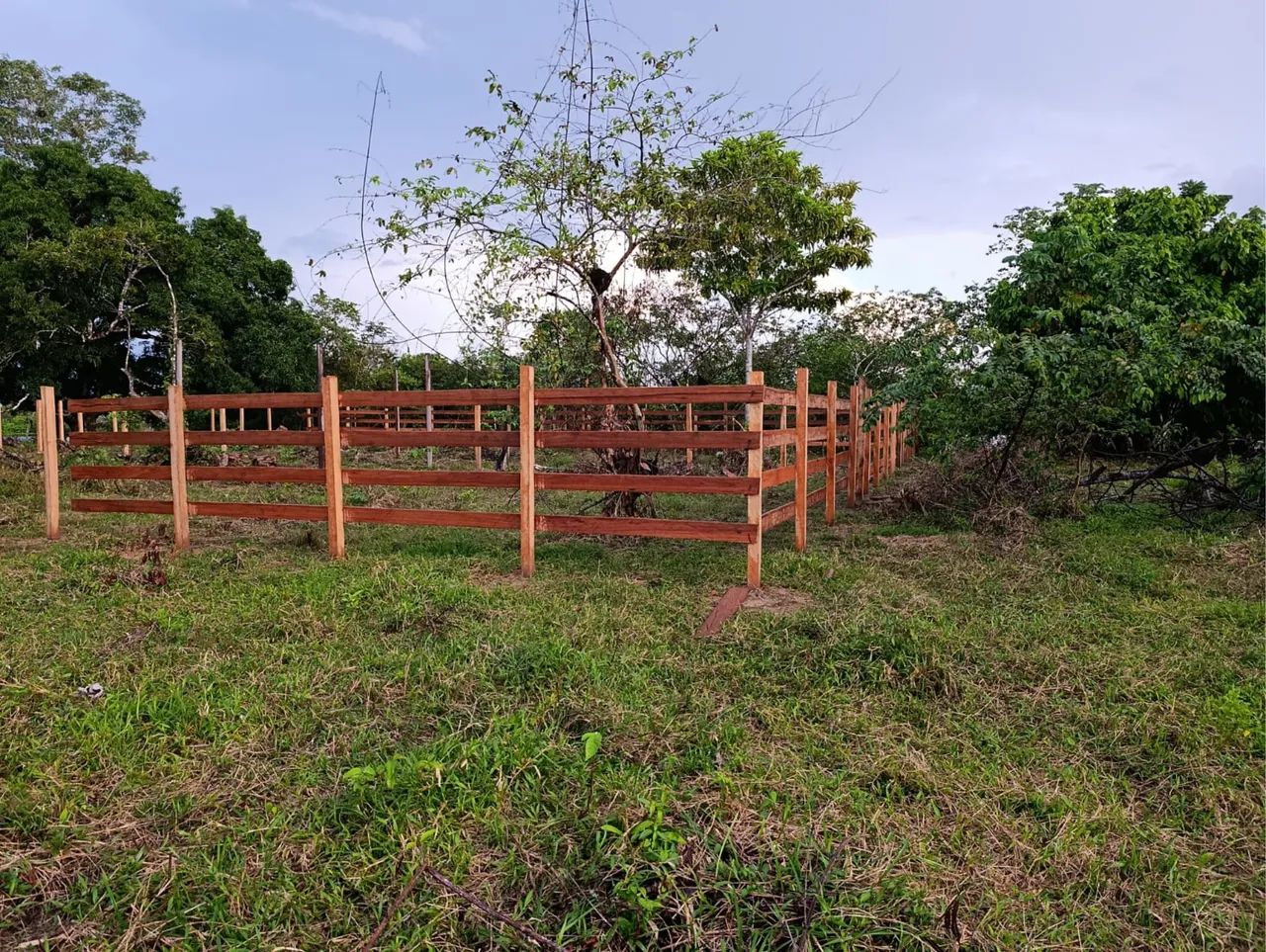 Verde se uma fazenda 
