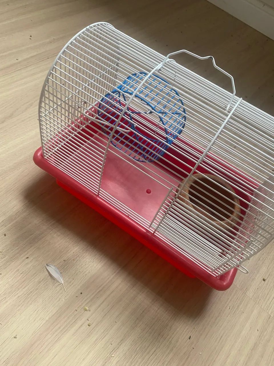 Gaiola roedores - Foto 2