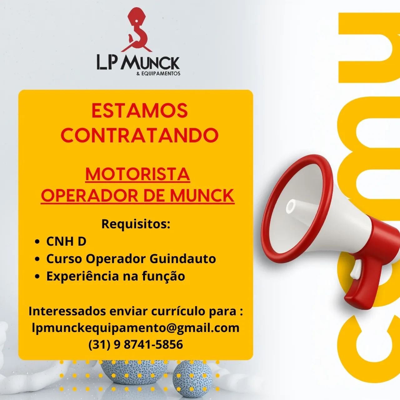 Motorista caminhão munck
