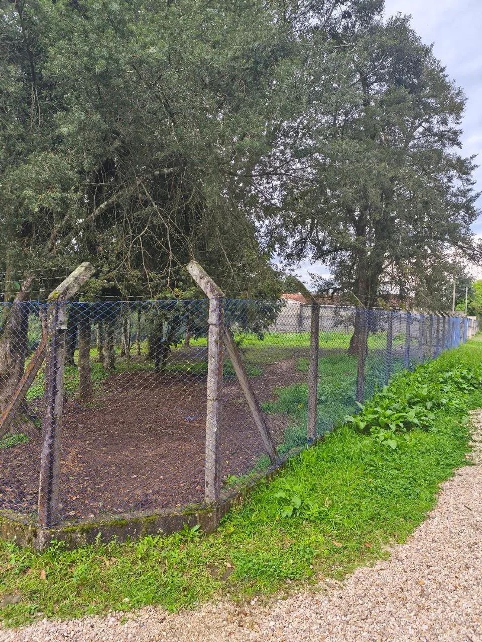 Terreno de 824m - Foto 5