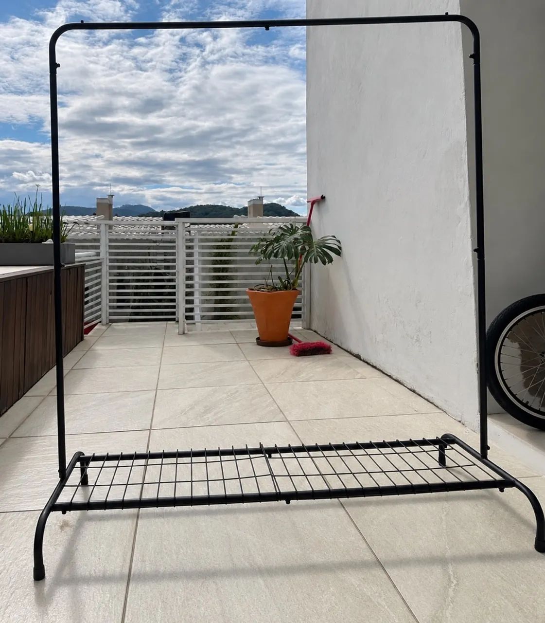Arara  - Foto 2