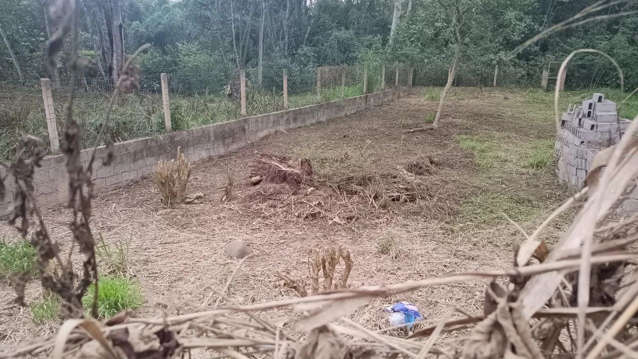 Foto - Santos - Boqueirão