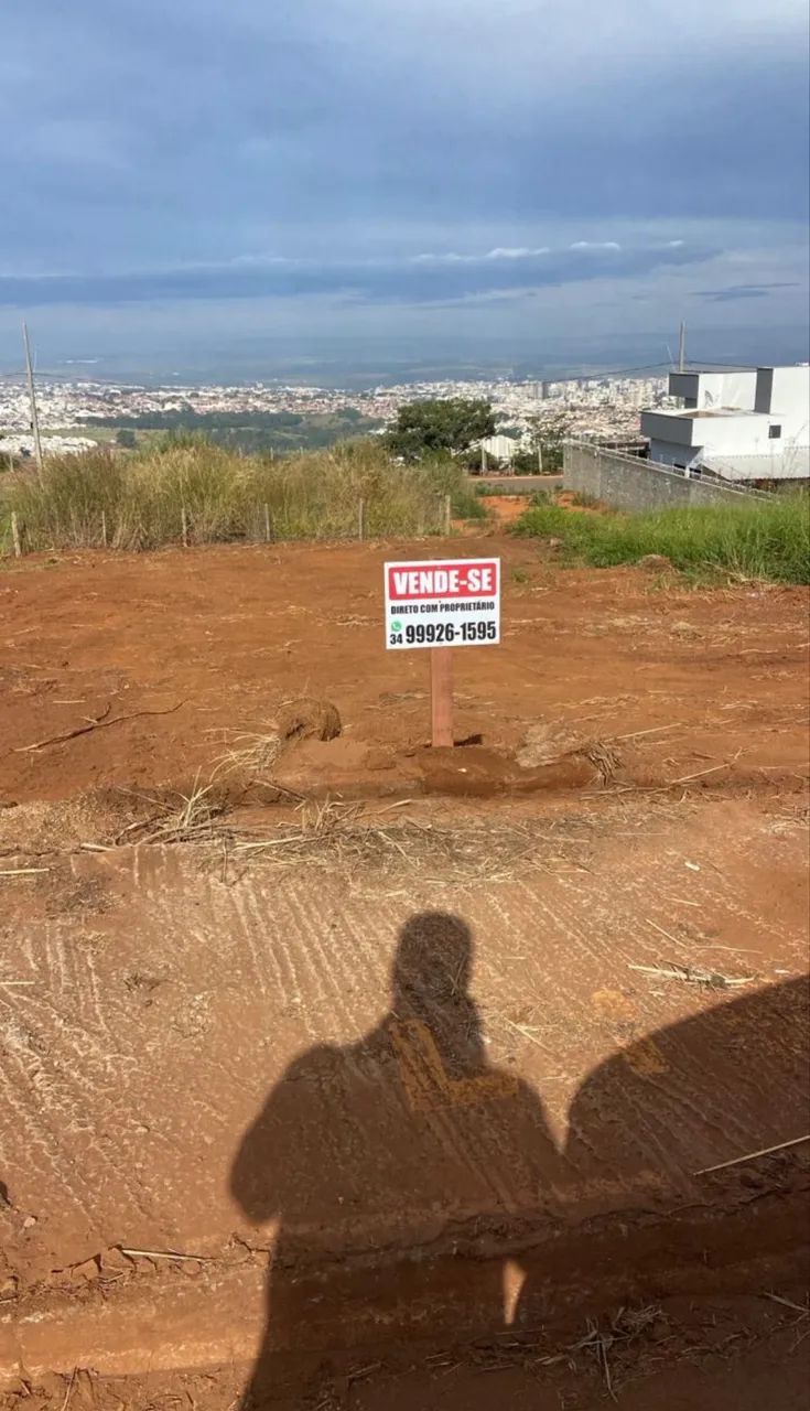 Lote patos de minas 