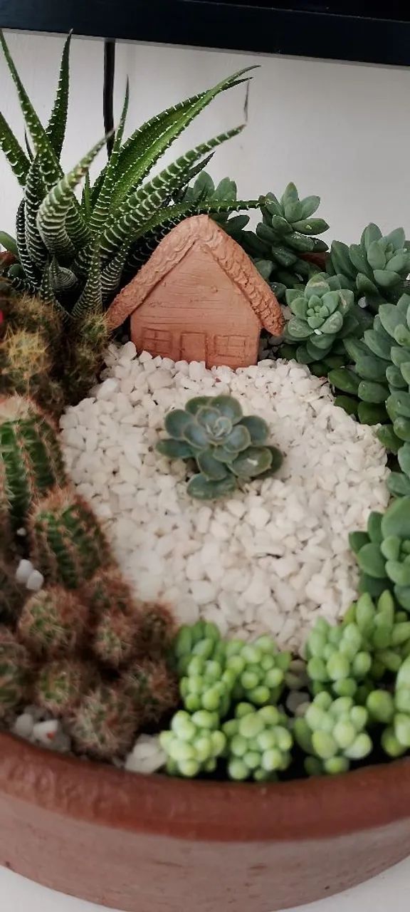 Terrário 