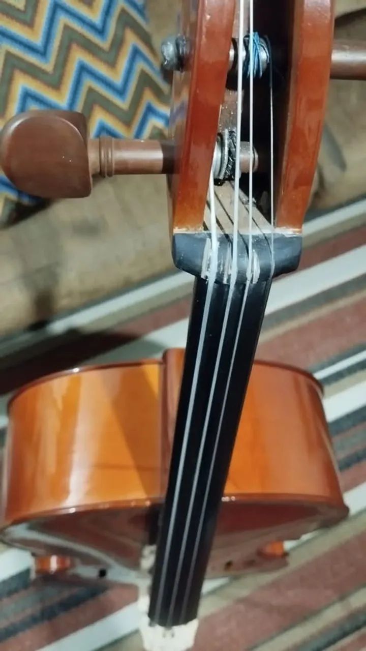  Violoncelo 4/4 Eagle CE 200 - Foto 2