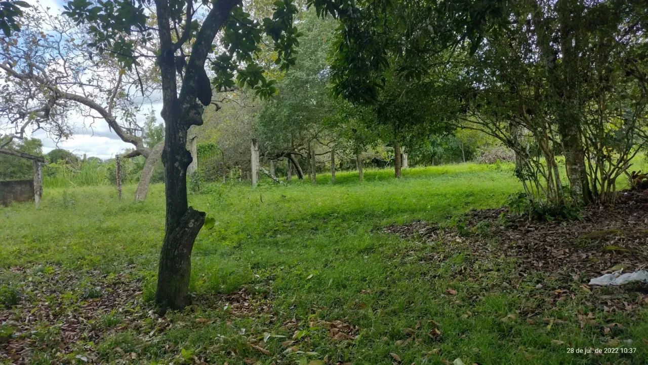 invista nessa super propriedade em Aldeia, com local perfeito, açude e muito mas!!!! - Foto 5