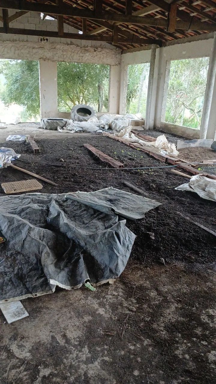 Fertilizante orgânico humus de minhoca