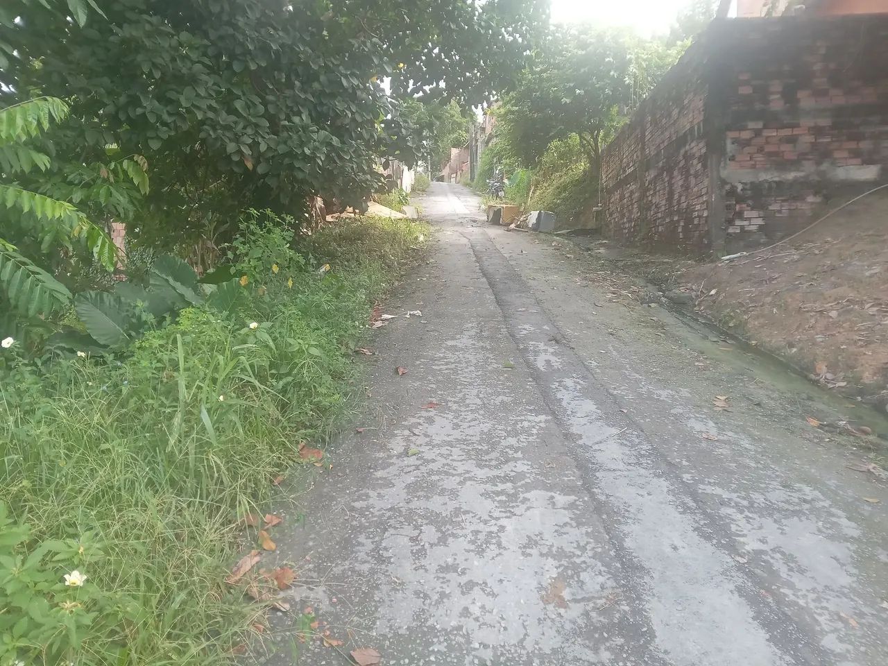 Vendo terreno no fazendinha. - Foto 3