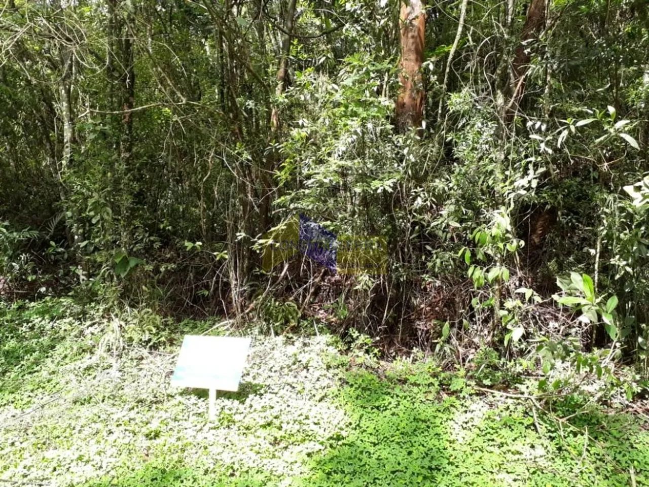 Lote em Condomínio para comprar Sausalito Mairiporã - Foto 2