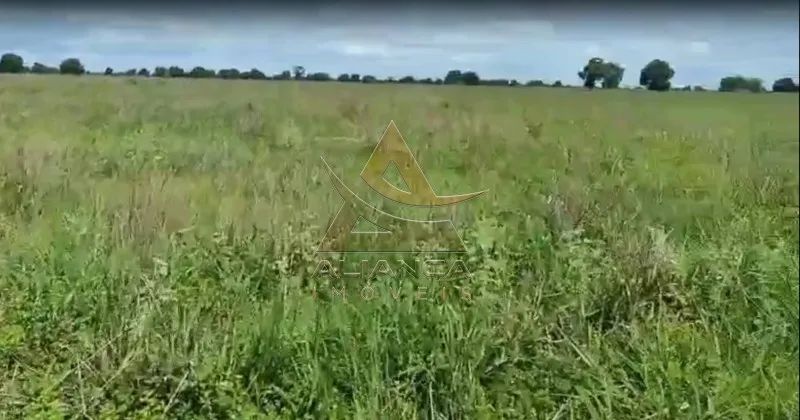 Fazenda - Jussara - Zona Rural