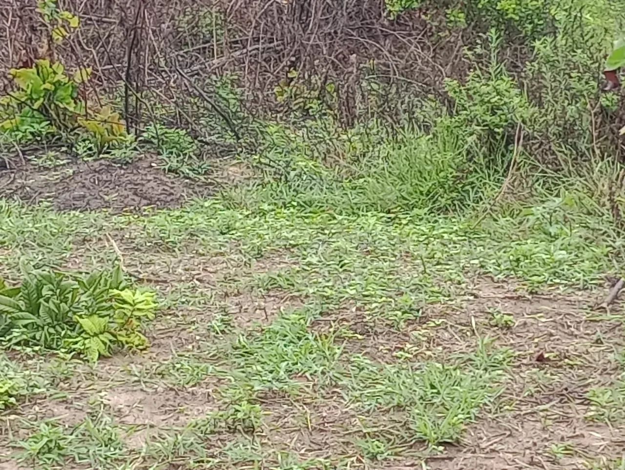 Foto - Salvador - Liberdade