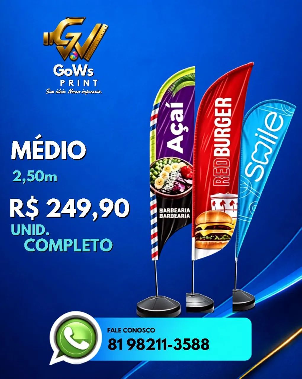 WindBanner 2,50M 249,90
