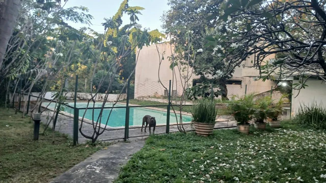 Terreno no Loteamento park 41 lote 08 da quadra '' C'' - Foto 2