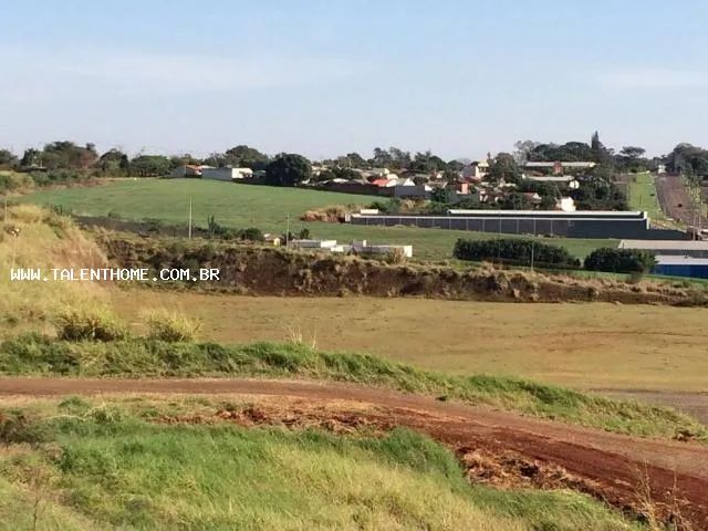 Terreno para Venda em Marialva, Centro - Foto 2