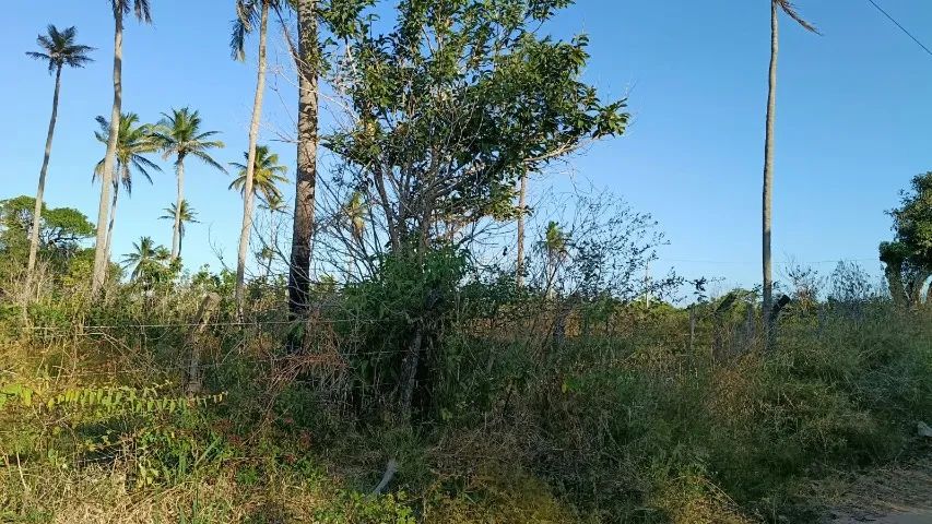 TERRENO EM PARACURU COM 9.450m² - Foto 5