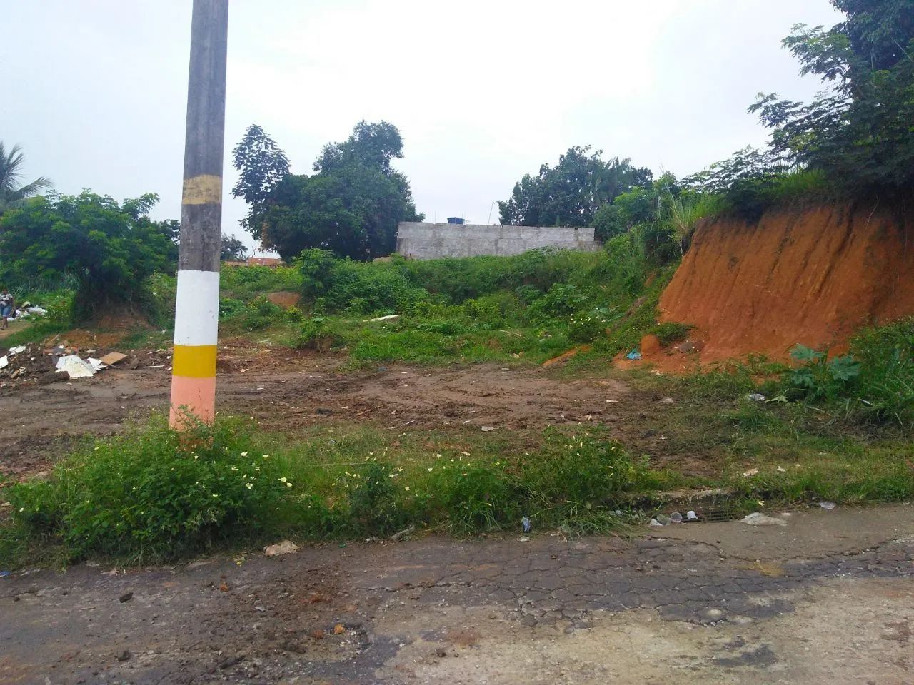 Área Vendo ou Alugo - Foto 4