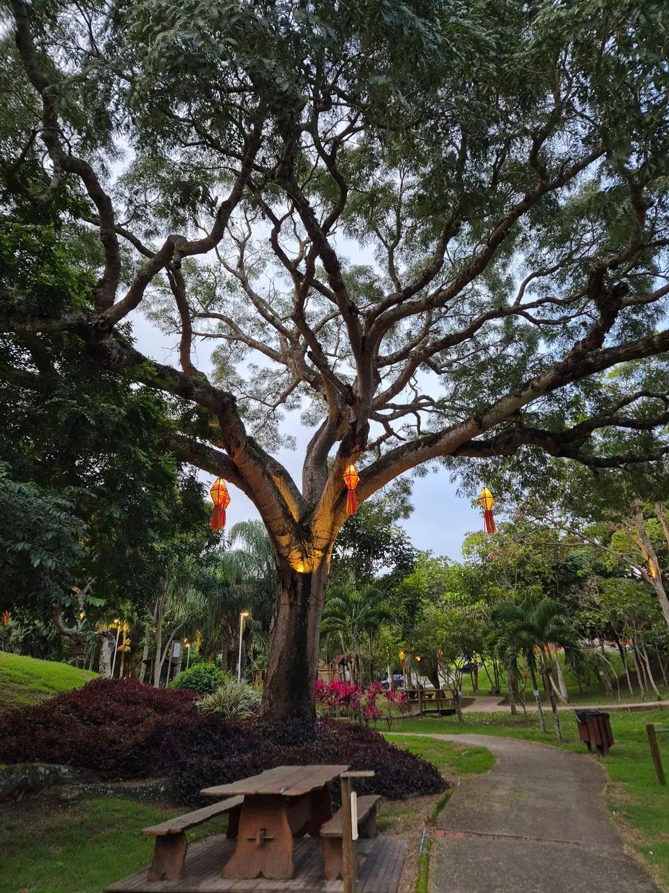 Terreno atmosphera ECO  - Foto 2