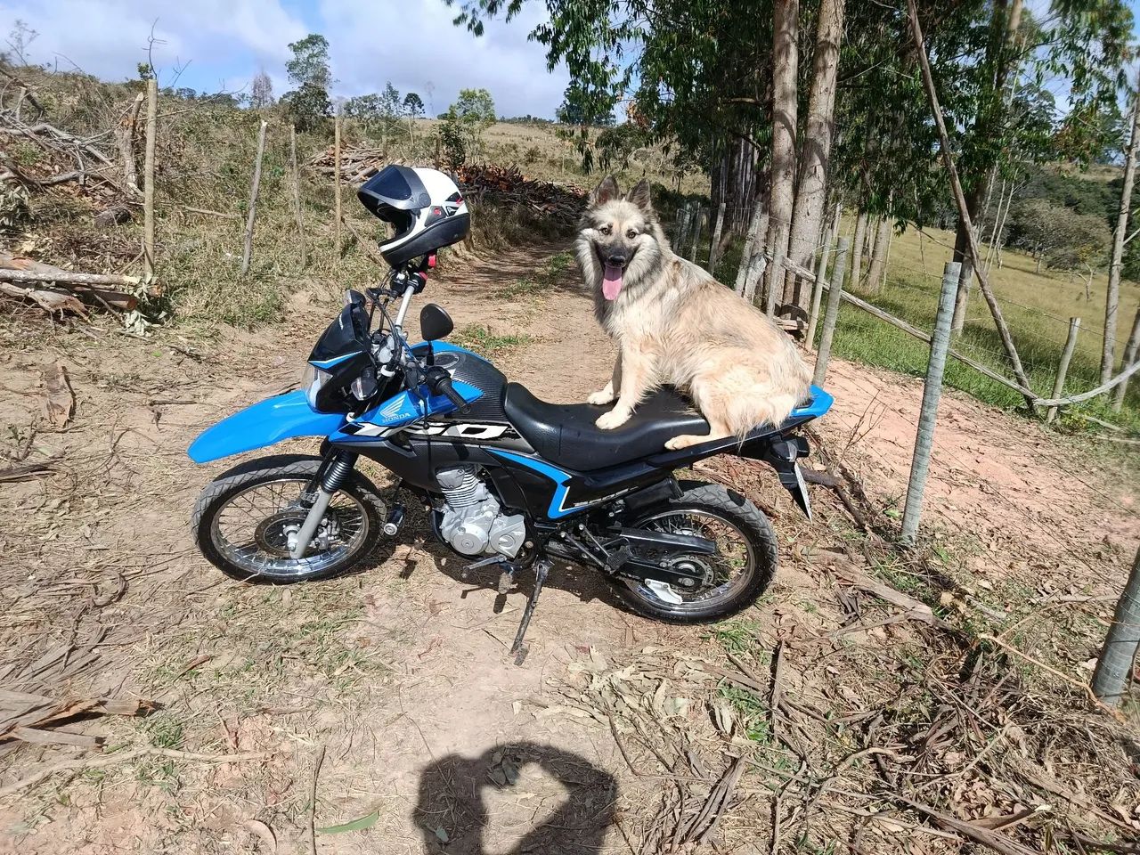 Vende-se  - Foto 2